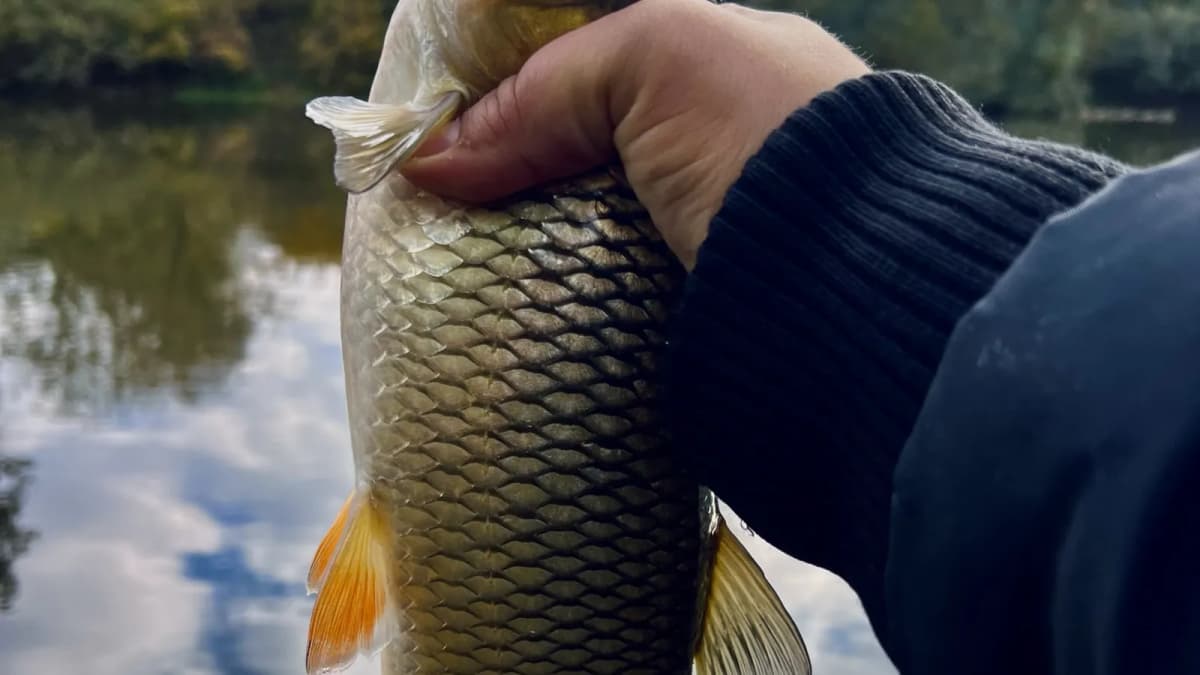 Posle kiše na reku — kada da izađeš, a kada da sačekaš