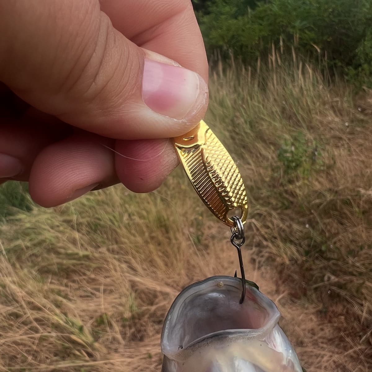 Bullet Gold na poslu